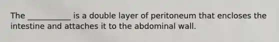 The ___________ is a double layer of peritoneum that encloses the intestine and attaches it to the abdominal wall.