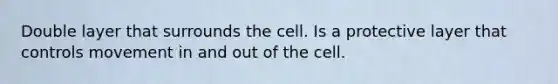 Double layer that surrounds the cell. Is a protective layer that controls movement in and out of the cell.