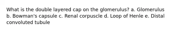 What is the double layered cap on the glomerulus? a. Glomerulus b. Bowman's capsule c. Renal corpuscle d. Loop of Henle e. Distal convoluted tubule