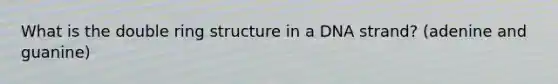 What is the double ring structure in a DNA strand? (adenine and guanine)