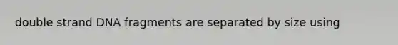 double strand DNA fragments are separated by size using