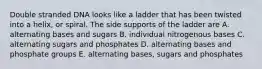 Double stranded DNA looks like a ladder that has been twisted into a helix, or spiral. The side supports of the ladder are A. alternating bases and sugars B. individual nitrogenous bases C. alternating sugars and phosphates D. alternating bases and phosphate groups E. alternating bases, sugars and phosphates