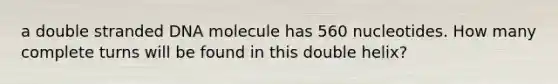 a double stranded DNA molecule has 560 nucleotides. How many complete turns will be found in this double helix?