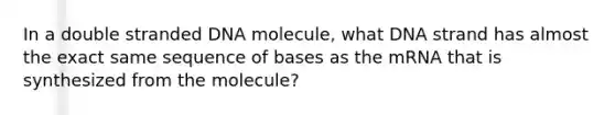 In a double stranded DNA molecule, what DNA strand has almost the exact same sequence of bases as the mRNA that is synthesized from the molecule?