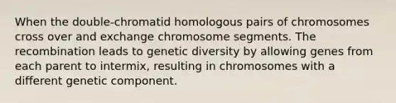 When the double-chromatid homologous pairs of chromosomes cross over and exchange chromosome segments. The recombination leads to genetic diversity by allowing genes from each parent to intermix, resulting in chromosomes with a different genetic component.