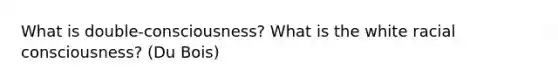 What is double-consciousness? What is the white racial consciousness? (Du Bois)