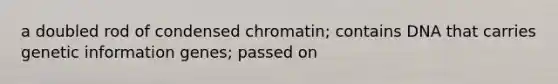 a doubled rod of condensed chromatin; contains DNA that carries genetic information genes; passed on