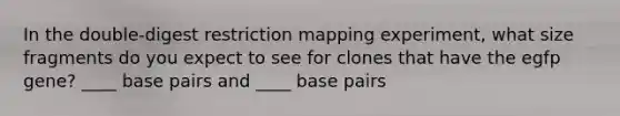 In the double-digest restriction mapping experiment, what size fragments do you expect to see for clones that have the egfp gene? ____ base pairs and ____ base pairs