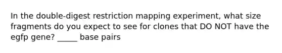 In the double-digest restriction mapping experiment, what size fragments do you expect to see for clones that DO NOT have the egfp gene? _____ base pairs