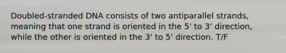 Doubled-stranded DNA consists of two antiparallel strands, meaning that one strand is oriented in the 5' to 3' direction, while the other is oriented in the 3' to 5' direction. T/F