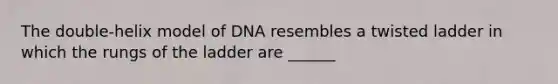 The double-helix model of DNA resembles a twisted ladder in which the rungs of the ladder are ______