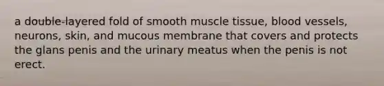 a double-layered fold of smooth muscle tissue, blood vessels, neurons, skin, and mucous membrane that covers and protects the glans penis and the urinary meatus when the penis is not erect.