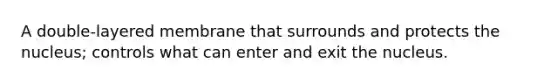 A double-layered membrane that surrounds and protects the nucleus; controls what can enter and exit the nucleus.