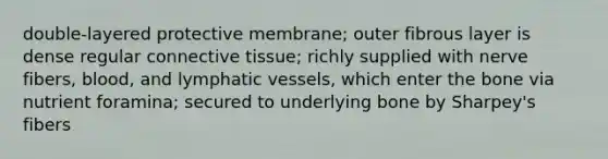 double-layered protective membrane; outer fibrous layer is dense regular connective tissue; richly supplied with nerve fibers, blood, and lymphatic vessels, which enter the bone via nutrient foramina; secured to underlying bone by Sharpey's fibers