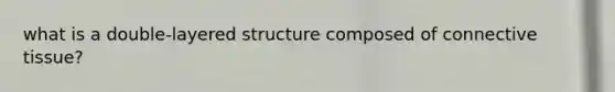 what is a double-layered structure composed of connective tissue?