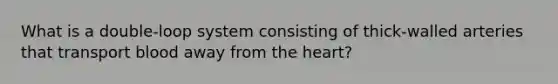 What is a double-loop system consisting of thick-walled arteries that transport blood away from <a href='https://www.questionai.com/knowledge/kya8ocqc6o-the-heart' class='anchor-knowledge'>the heart</a>?