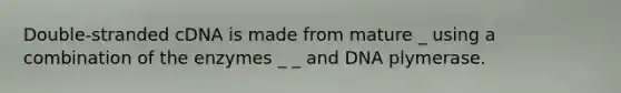 Double-stranded cDNA is made from mature _ using a combination of the enzymes _ _ and DNA plymerase.