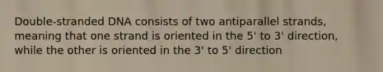 Double-stranded DNA consists of two antiparallel strands, meaning that one strand is oriented in the 5' to 3' direction, while the other is oriented in the 3' to 5' direction