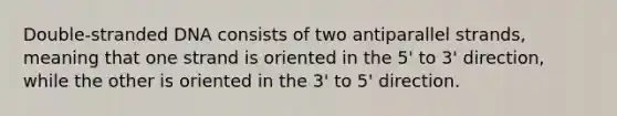 Double-stranded DNA consists of two antiparallel strands, meaning that one strand is oriented in the 5' to 3' direction, while the other is oriented in the 3' to 5' direction.