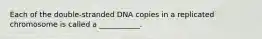 Each of the double-stranded DNA copies in a replicated chromosome is called a ___________.