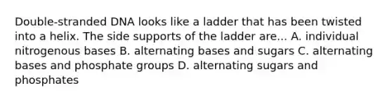 Double-stranded DNA looks like a ladder that has been twisted into a helix. The side supports of the ladder are... A. individual nitrogenous bases B. alternating bases and sugars C. alternating bases and phosphate groups D. alternating sugars and phosphates
