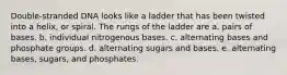Double-stranded DNA looks like a ladder that has been twisted into a helix, or spiral. The rungs of the ladder are a. pairs of bases. b. individual nitrogenous bases. c. alternating bases and phosphate groups. d. alternating sugars and bases. e. alternating bases, sugars, and phosphates.