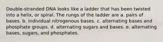 Double-stranded DNA looks like a ladder that has been twisted into a helix, or spiral. The rungs of the ladder are a. pairs of bases. b. individual nitrogenous bases. c. alternating bases and phosphate groups. d. alternating sugars and bases. e. alternating bases, sugars, and phosphates.