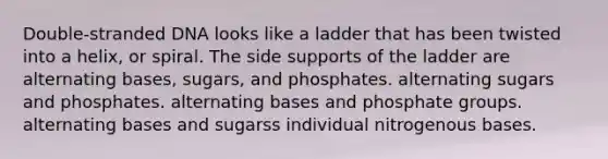 Double-stranded DNA looks like a ladder that has been twisted into a helix, or spiral. The side supports of the ladder are​ alternating bases, sugars, and phosphates. alternating sugars and phosphates. alternating bases and phosphate groups. alternating bases and sugarss individual nitrogenous bases.