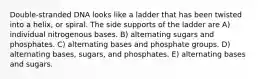 Double-stranded DNA looks like a ladder that has been twisted into a helix, or spiral. The side supports of the ladder are A) individual nitrogenous bases. B) alternating sugars and phosphates. C) alternating bases and phosphate groups. D) alternating bases, sugars, and phosphates. E) alternating bases and sugars.