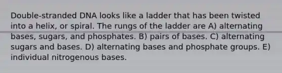 Double-stranded DNA looks like a ladder that has been twisted into a helix, or spiral. The rungs of the ladder are A) alternating bases, sugars, and phosphates. B) pairs of bases. C) alternating sugars and bases. D) alternating bases and phosphate groups. E) individual nitrogenous bases.
