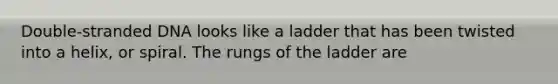 Double-stranded DNA looks like a ladder that has been twisted into a helix, or spiral. The rungs of the ladder are
