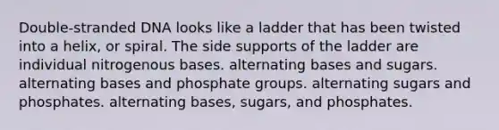 Double-stranded DNA looks like a ladder that has been twisted into a helix, or spiral. The side supports of the ladder are individual nitrogenous bases. alternating bases and sugars. alternating bases and phosphate groups. alternating sugars and phosphates. alternating bases, sugars, and phosphates.