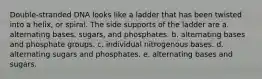 Double-stranded DNA looks like a ladder that has been twisted into a helix, or spiral. The side supports of the ladder are a. alternating bases, sugars, and phosphates. b. alternating bases and phosphate groups. c. individual nitrogenous bases. d. alternating sugars and phosphates. e. alternating bases and sugars.