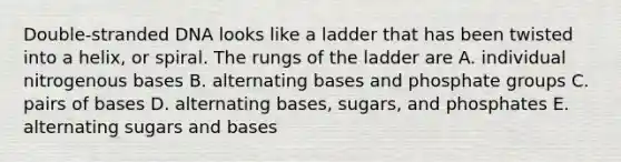Double-stranded DNA looks like a ladder that has been twisted into a helix, or spiral. The rungs of the ladder are A. individual nitrogenous bases B. alternating bases and phosphate groups C. pairs of bases D. alternating bases, sugars, and phosphates E. alternating sugars and bases