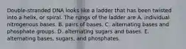 Double-stranded DNA looks like a ladder that has been twisted into a helix, or spiral. The rungs of the ladder are A. individual nitrogenous bases. B. pairs of bases. C. alternating bases and phosphate groups. D. alternating sugars and bases. E. alternating bases, sugars, and phosphates.