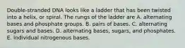 Double-stranded DNA looks like a ladder that has been twisted into a helix, or spiral. The rungs of the ladder are A. alternating bases and phosphate groups. B. pairs of bases. C. alternating sugars and bases. D. alternating bases, sugars, and phosphates. E. individual nitrogenous bases.