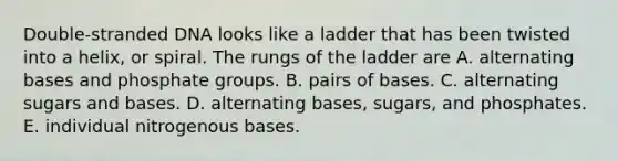 Double-stranded DNA looks like a ladder that has been twisted into a helix, or spiral. The rungs of the ladder are A. alternating bases and phosphate groups. B. pairs of bases. C. alternating sugars and bases. D. alternating bases, sugars, and phosphates. E. individual nitrogenous bases.