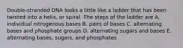 Double-stranded DNA looks a little like a ladder that has been twisted into a helix, or spiral. The steps of the ladder are A. individual nitrogenous bases B. pairs of bases C. alternating bases and phosphate groups D. alternating sugars and bases E. alternating bases, sugars, and phosphates