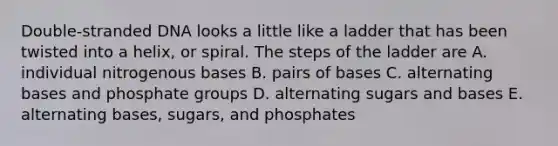 Double-stranded DNA looks a little like a ladder that has been twisted into a helix, or spiral. The steps of the ladder are A. individual nitrogenous bases B. pairs of bases C. alternating bases and phosphate groups D. alternating sugars and bases E. alternating bases, sugars, and phosphates