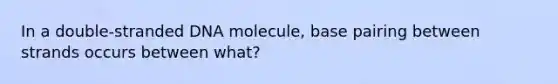 In a double-stranded DNA molecule, base pairing between strands occurs between what?