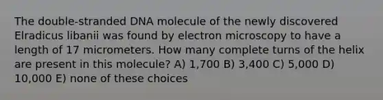 The double-stranded DNA molecule of the newly discovered Elradicus libanii was found by electron microscopy to have a length of 17 micrometers. How many complete turns of the helix are present in this molecule? A) 1,700 B) 3,400 C) 5,000 D) 10,000 E) none of these choices