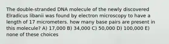 The double-stranded DNA molecule of the newly discovered Elradicus libanii was found by electron microscopy to have a length of 17 micrometers. how many base pairs are present in this molecule? A) 17,000 B) 34,000 C) 50,000 D) 100,000 E) none of these choices