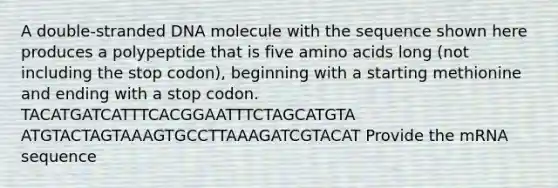 A double-stranded DNA molecule with the sequence shown here produces a polypeptide that is five amino acids long (not including the stop codon), beginning with a starting methionine and ending with a stop codon. TACATGATCATTTCACGGAATTTCTAGCATGTA ATGTACTAGTAAAGTGCCTTAAAGATCGTACAT Provide the mRNA sequence