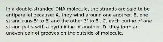 In a double-stranded DNA molecule, the strands are said to be antiparallel because: A. they wind around one another. B. one strand runs 5' to 3' and the other 3' to 5'. C. each purine of one strand pairs with a pyrimidine of another. D. they form an uneven pair of grooves on the outside of molecule.