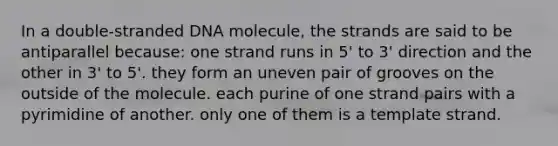 In a double-stranded DNA molecule, the strands are said to be antiparallel because: one strand runs in 5' to 3' direction and the other in 3' to 5'. they form an uneven pair of grooves on the outside of the molecule. each purine of one strand pairs with a pyrimidine of another. only one of them is a template strand.