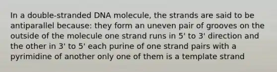 In a double-stranded DNA molecule, the strands are said to be antiparallel because: they form an uneven pair of grooves on the outside of the molecule one strand runs in 5' to 3' direction and the other in 3' to 5' each purine of one strand pairs with a pyrimidine of another only one of them is a template strand