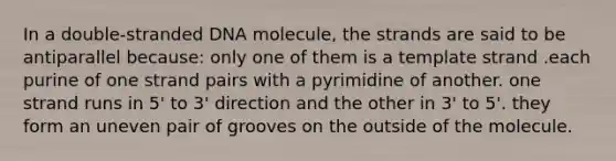 In a double-stranded DNA molecule, the strands are said to be antiparallel because: only one of them is a template strand .each purine of one strand pairs with a pyrimidine of another. one strand runs in 5' to 3' direction and the other in 3' to 5'. they form an uneven pair of grooves on the outside of the molecule.