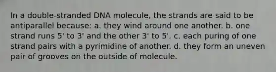 In a double-stranded DNA molecule, the strands are said to be antiparallel because: a. they wind around one another. b. one strand runs 5' to 3' and the other 3' to 5'. c. each puring of one strand pairs with a pyrimidine of another. d. they form an uneven pair of grooves on the outside of molecule.