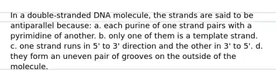 In a double-stranded DNA molecule, the strands are said to be antiparallel because: a. each purine of one strand pairs with a pyrimidine of another. b. only one of them is a template strand. c. one strand runs in 5' to 3' direction and the other in 3' to 5'. d. they form an uneven pair of grooves on the outside of the molecule.