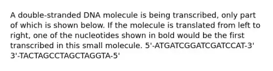 A double-stranded DNA molecule is being transcribed, only part of which is shown below. If the molecule is translated from left to right, one of the nucleotides shown in bold would be the first transcribed in this small molecule. 5'-ATGATCGGATCGATCCAT-3' 3'-TACTAGCCTAGCTAGGTA-5'